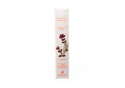 Auroshikha - Nature's Garden Incense - Cinnamon
