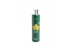 Biofficina Toscana - Shower gel - Helicriso 250ml