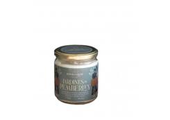 Book and Glow - *Mundos extraordinadios* - Soy Candle - Jardines de Pemberley