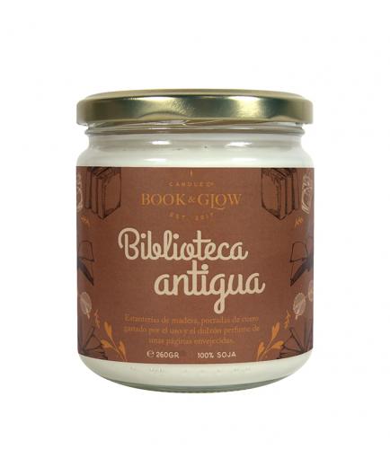 Book and Glow - *Perfect Moments* - Soy Candle - Biblioteca antigua