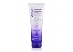 Giovanni - 2Chic Repairing Conditioner - Blackberry & Coconut milk