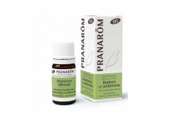 Pranarom - Aceite esencial 100% puro bio - Romero QT verbena