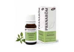 Pranarom - Aceite esencial 100% puro - Ravintsara