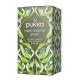 Pukka - Matcha Green Tea with Mint - 20 sachets