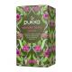 Pukka - Green tea and red berries - 20 sachets