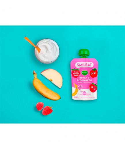 Comprar Pouch Yogur Y Frambuesa 100 gr Eco Smileat a precio de oferta
