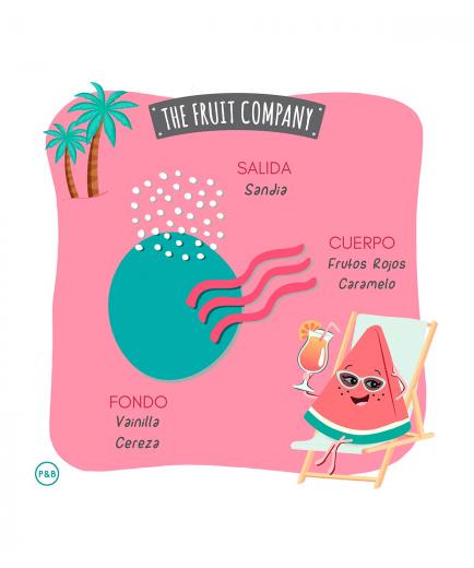 The Fruit Company - Ambientador Mikado - Sandía