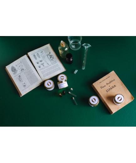 The Singular Olivia - The Inventory Scented Candle - Evergreen n314