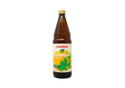 Voelkel - Bebida refrescante Kombucha 750ml - Original