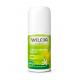 Weleda - Deodorant Roll On 24h Citrus